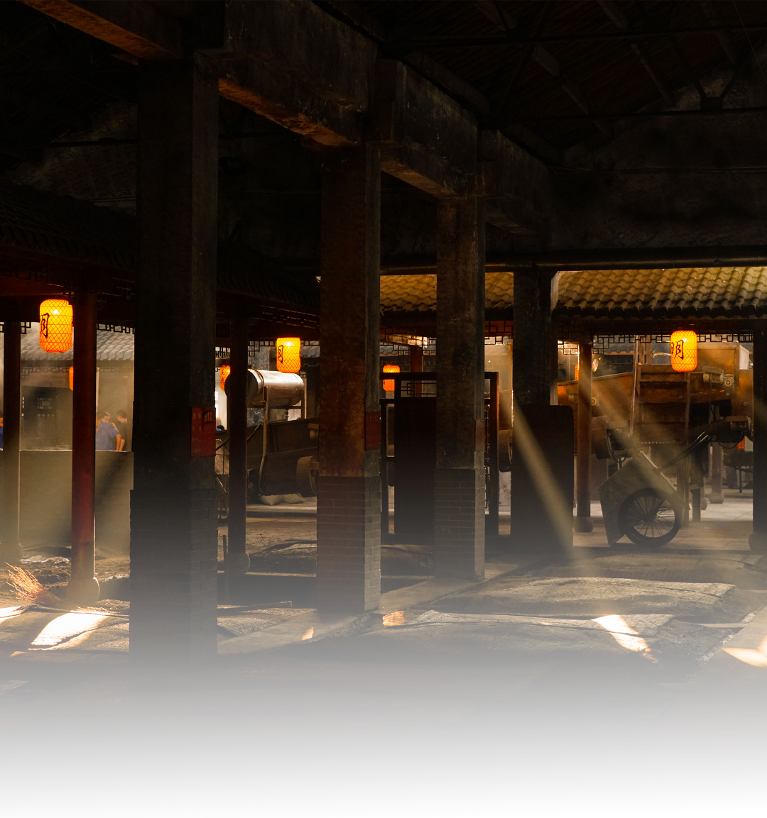 金种子明代古窖池