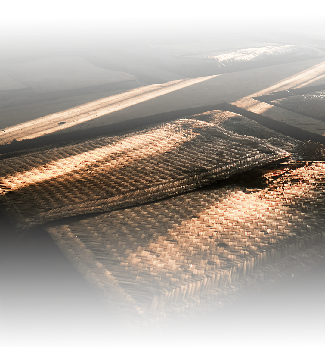 金种子明代古窖池